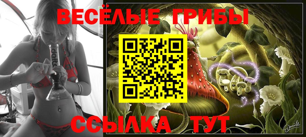Галлюциногенные грибы мухоморы  Псилоцибиновые грибы GOLDEN TEACHER  Вход с VPN  Спасск-Дальний 