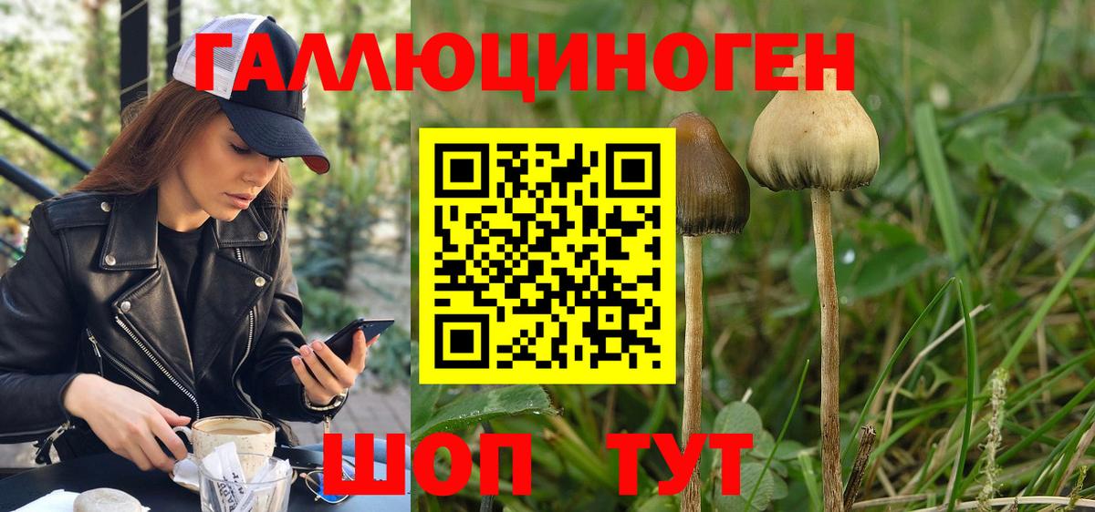 Галлюциногенные грибы прущие грибы Спасск-Дальний